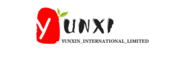 YUNXIN INTERNATIONAL LIMITED